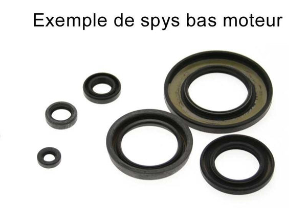 Centauro Oil Seal Set 666A220SR