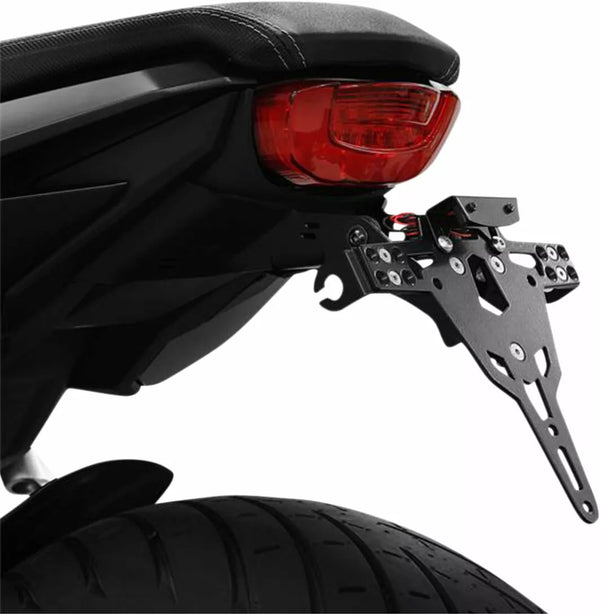 Zieger LCS PLT HLD -tyyppi A CB650R 10008026