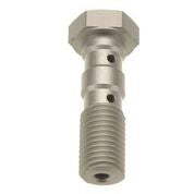 TRW BANJO BOLT DBL BREMBO SL MCH961A