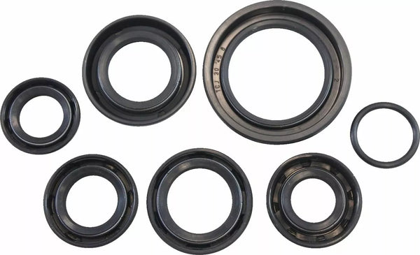 Vintco Oil Seal Kit Kos003 Kos003