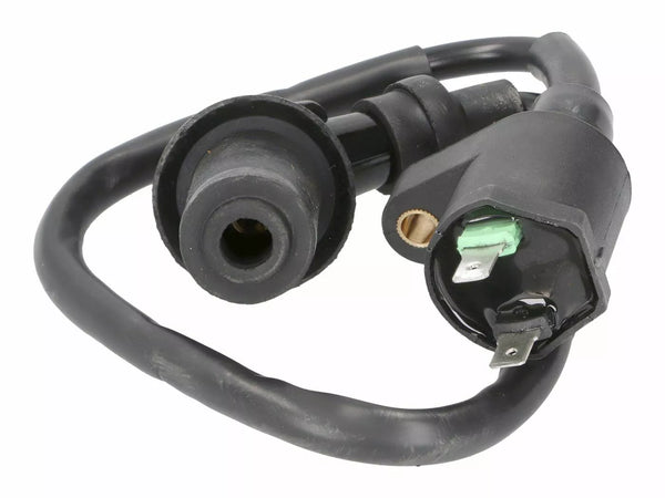 101 Octane Ignition Coil BT22001