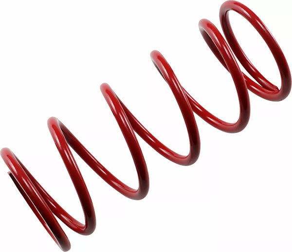 Epi rer sekundaarinen kevään punainen srer2