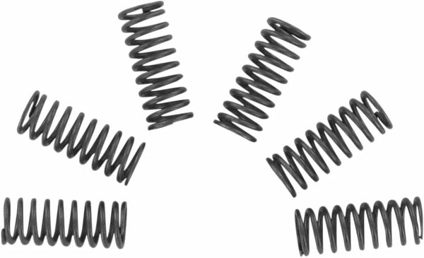 EBC -kytkimen jousisarja CSK CSK032